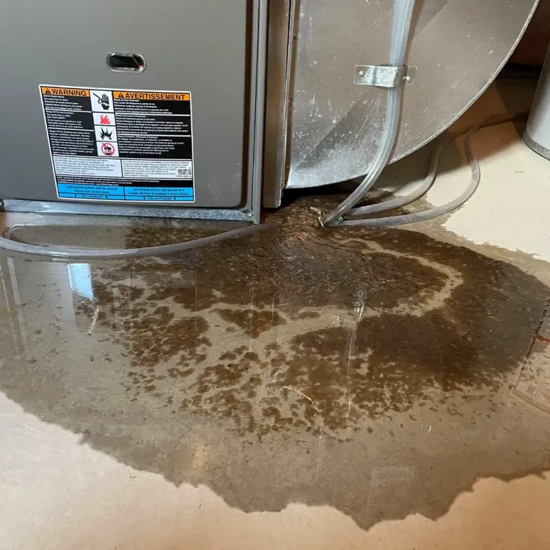 Appliance Leak Cleanup in Kapaau, HI