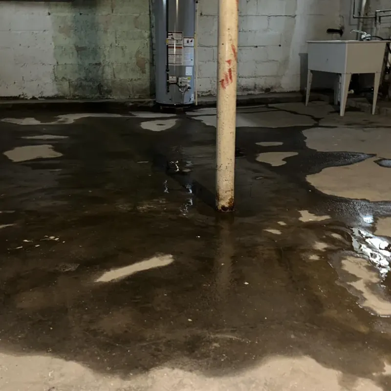 Emergency Water Extraction And Removal in Kapaau, HI